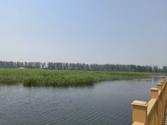 -白洋淀风景区