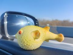 -永安鱼庄·镇江菜(丁卯店)