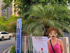 -宝安体育馆游泳馆