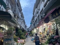 -花鸟市场(虞山北路)