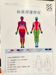 -Fundi张玉珊修身堂·indiba·BTL科技瘦身