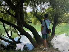 -贵阳市花溪国家城市湿地公园