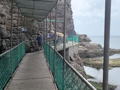 -摩天岭风景区
