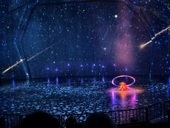 -重庆国际马戏城