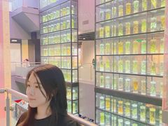 -广东中医药博物馆