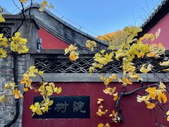 -潭柘寺景区