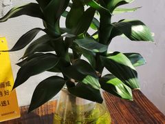 -周先生石花膏