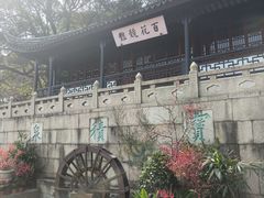-苏州上方山国家森林公园