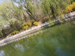 -迎泽公园