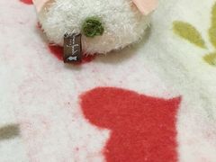 -崇光百货(铜锣湾店)