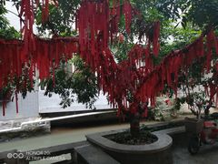 -小洲村