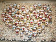 -柴犬高等学院·狗咖·柴犬售卖·宠物训练