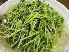-沈记菜馆(酒仙桥路店)