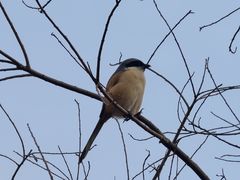 -苏州河梦清园环保主题公园