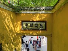 -普陀山慧济禅寺