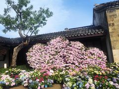 -无锡蠡湖国家湿地公园-蠡园