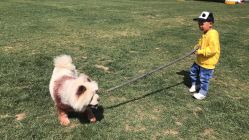 -上美四季动物农场