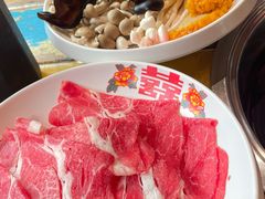 -房子红了鱼豆花重庆老火锅(广厦学院店)
