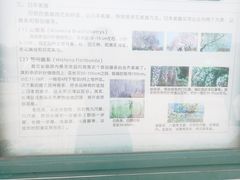 -嘉定紫藤园