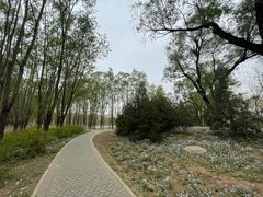 -东郊湿地公园