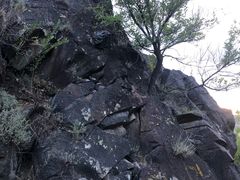 -将军山森林公园
