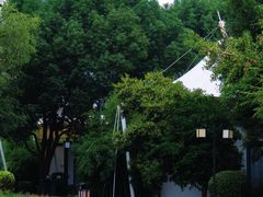 -帐篷客·溪龙茶谷度假酒店