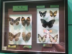 -上海昆虫博物馆