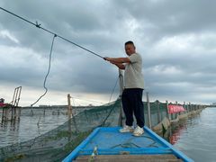 -小陆莲花蟹园农家乐(莲花岛店)