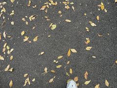 -森林公园(尖草坪区)