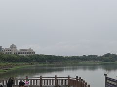 -风云岭森林公园