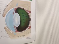 -守诺宠物医院·眼科· 特色牙科·异宠专科(虹口店)