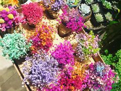 -婷意花宇TheGracesFloral(北外滩店)