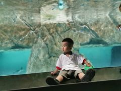 -成都浩海立方海洋公园