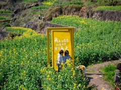 -晋情·游子轩(梅花路店)