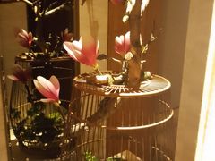 -浅深(北京北四环精品店)