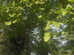 -洨河生态公园