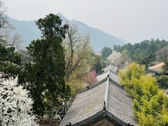 -潭柘寺景区
