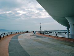 -演武大桥观景平台