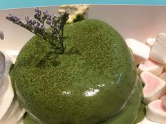 -狐狸和向日葵(北京路店)