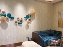 -诗媛嘉美健康管理中心(金桥店)