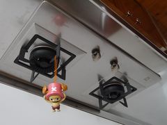 -金山农民画村-枫泾波兰倒置屋