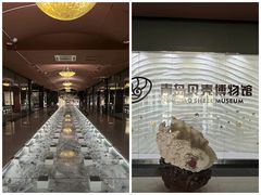 -青岛贝壳博物馆