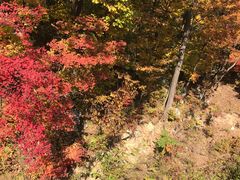 -丹东天桥沟景区