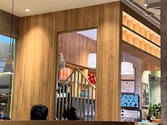 -池云涧自然椰子鸡(万泰汇店)