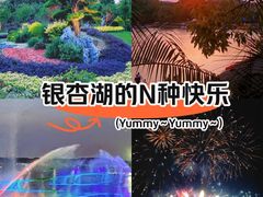 -南京银杏湖乐园