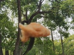 -J Create城市露营咖啡·简餐·宠物(上海动物园店)