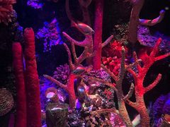 -沈阳海洋探索中心