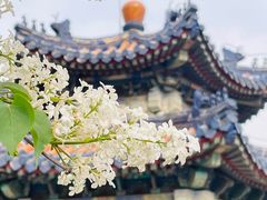 -天坛公园