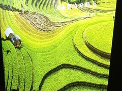 -湘邻呷铺·田园家宴(汉基广场店)