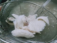 -源港渔村-中山脆肉鲩(博罗店)